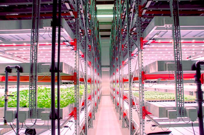 Estanterias-para-agricultura-vertical